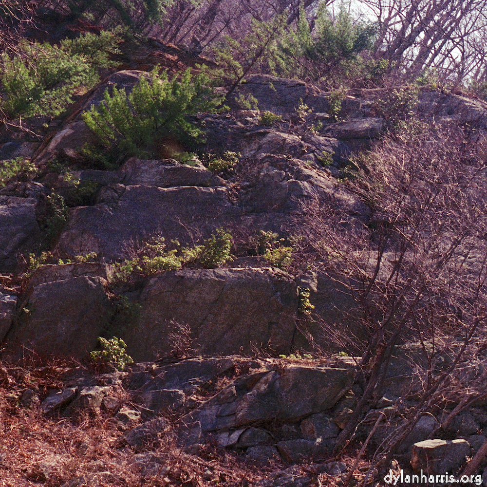 Image 'wood (vii) 4'.