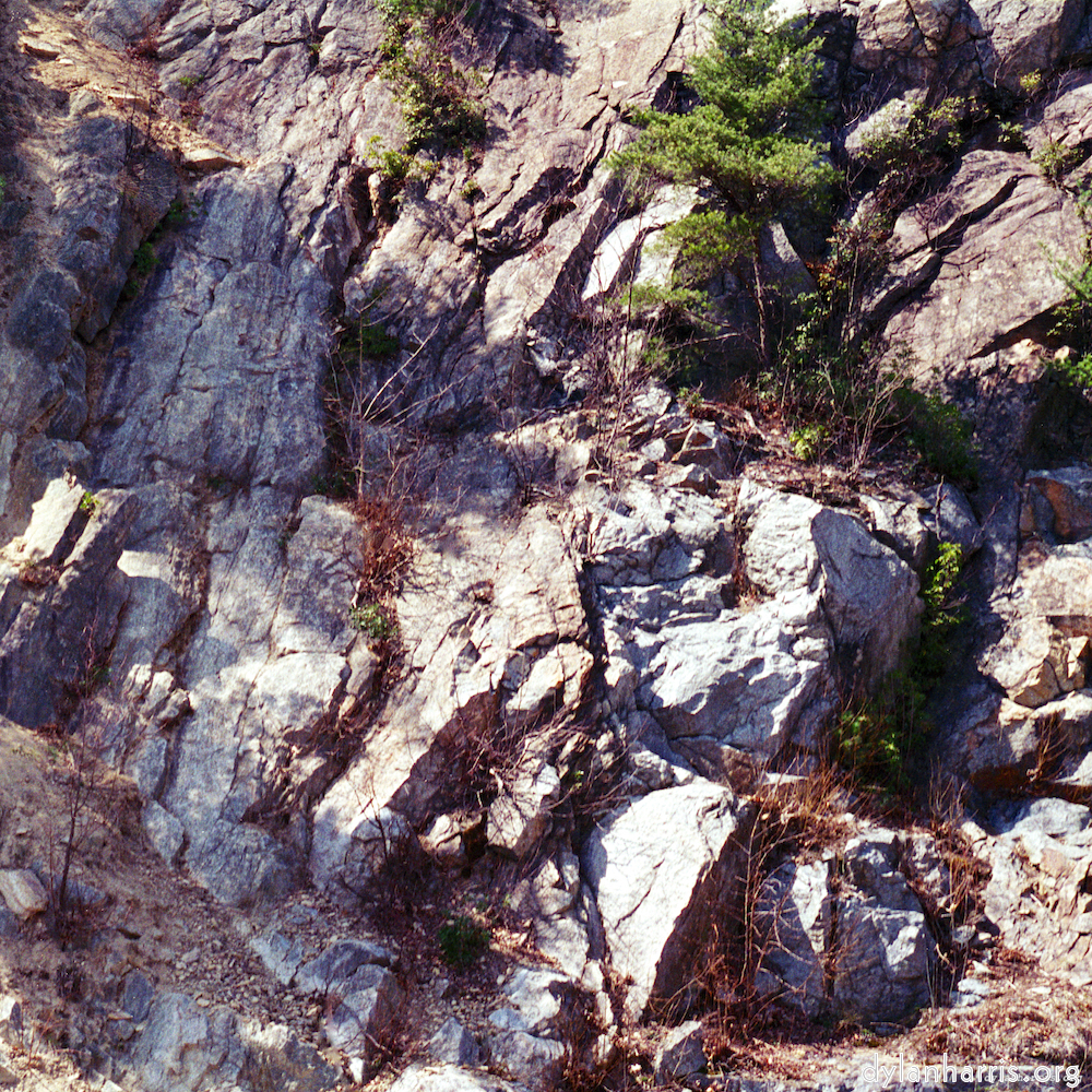 image: This is &lsquo;wood (vii) 6&rsquo;.