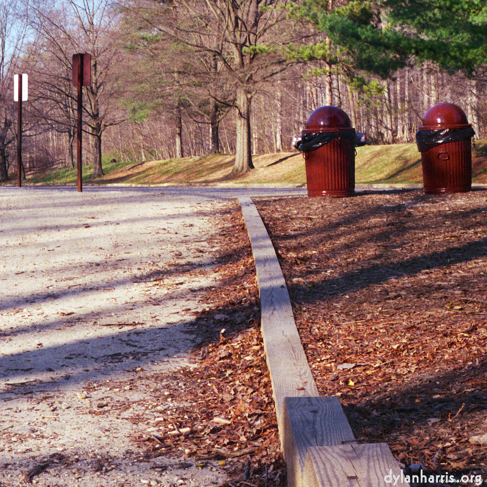 Image 'wood (vii) 8'.