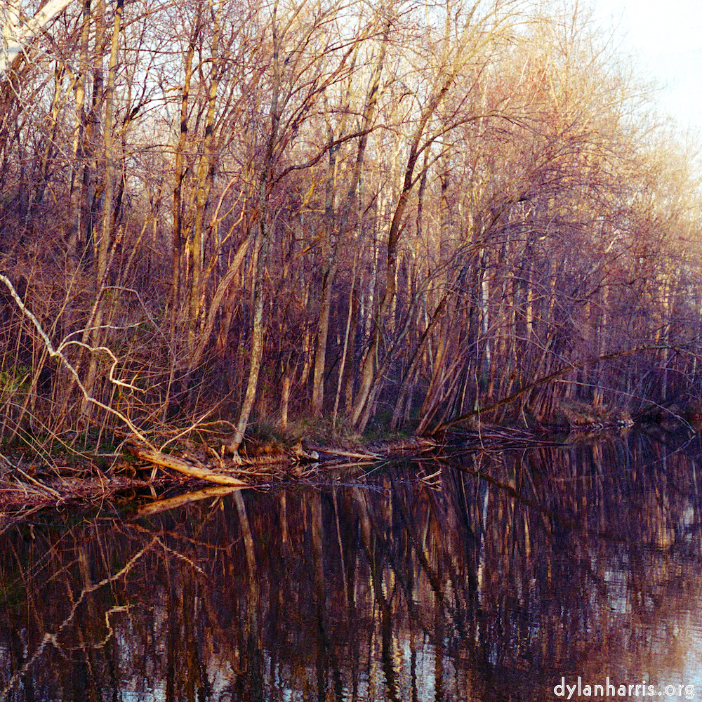 image: This is &lsquo;wood (vii) 9&rsquo;.