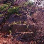 Fourth image from the photoset 'wood (vii)'.