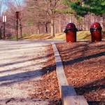 Eighth image from the photoset 'wood (vii)'.