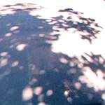 Third image from the photoset 'citro&euml;n (i)'.