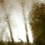 Sixth image from the photoset 'prague (ii)'.