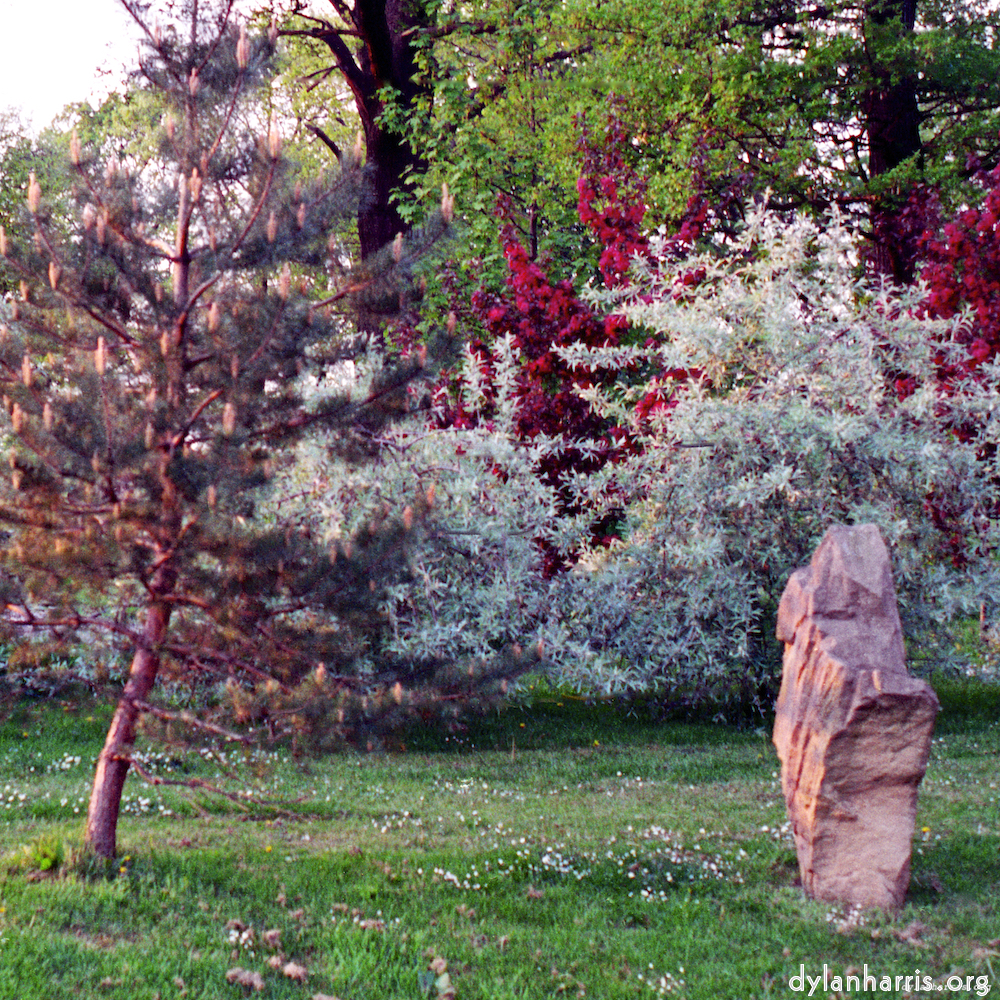 Image 'yorkshire (i) 10'.