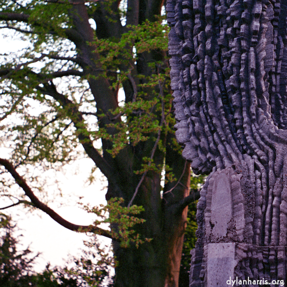 image: This is &lsquo;yorkshire (i) 5&rsquo;.