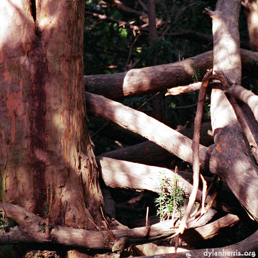 image: This is &lsquo;yorkshire (i) 7&rsquo;.