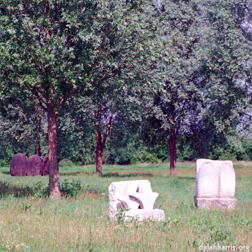 image: This is &lsquo;peterborough 6&rsquo;.