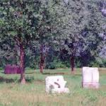 Sixth image from the photoset 'peterborough'.