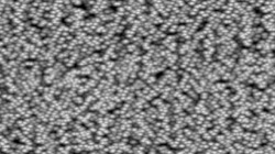 image: image from dm new