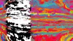 image: image from test 1