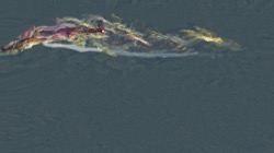 image: image from test 2