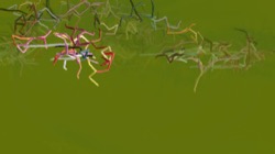 image: image from test 2