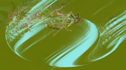 image: image from test 2