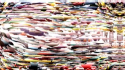 image: image from warp test