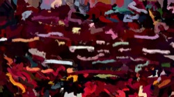 image: image from warp test