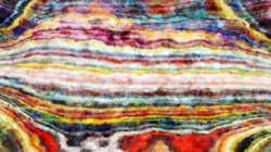 image: image from new 1