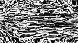 image: image from new 2