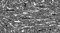 image: image from new 2