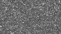 image: image from new 2