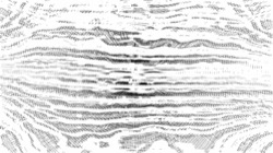 image: image from bw sketch