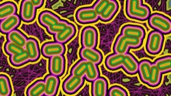 image: image from abstract - more