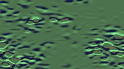 image: image from abstract - more