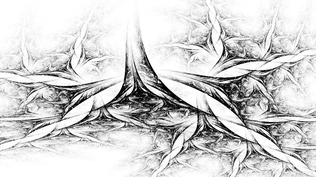 image: attractors bw :: plants