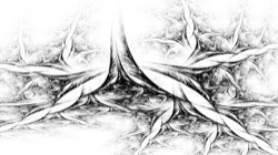 image: image from attractors bw