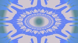 attractors circular :: bullseye