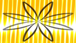 attractors circular :: mandrin