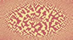 image: image from centre focused