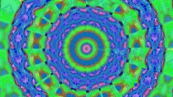 image: image from circular 1