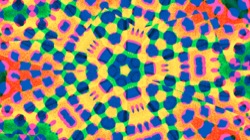 image: image from circular 1