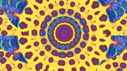 image: image from circular 1