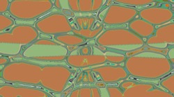 image: image from abstract