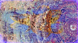 image: image from atr