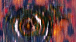 image: image from atr