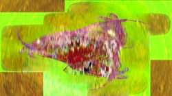 image: image from atr