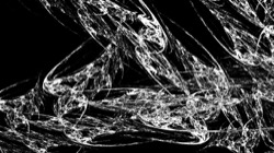 image: image from attr