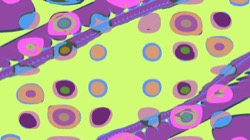 image: image from attractor