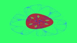 image: image from attr-new colour