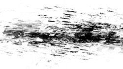 image: image from bw new 1