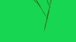 image: abstract&nbsp;1 thumbnail