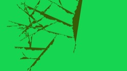 image: image from plantlike 2