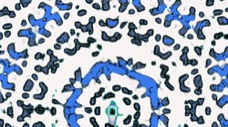 image: image from symmetry breaking 1