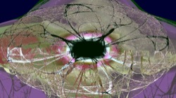 image: image from symmetry breaking 1