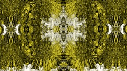 image: image from symmetry breaking 1