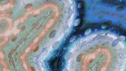 image: image from symmetry breaking 1