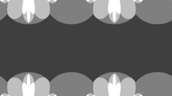 image: image from symmetry breaking 2